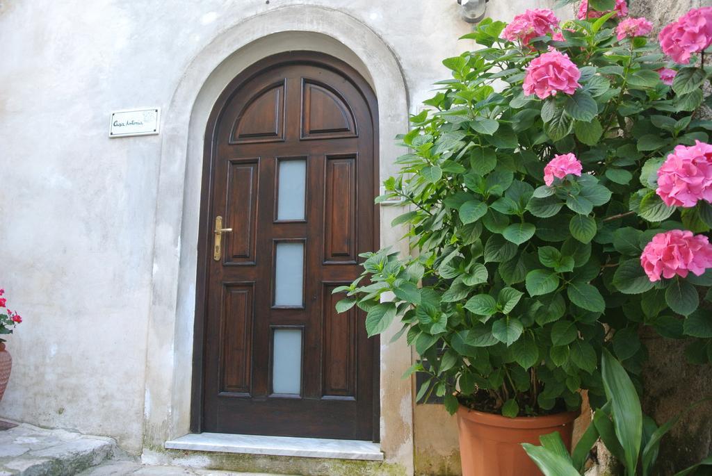 B&B Casa Antonia Trentinara Екстер'єр фото